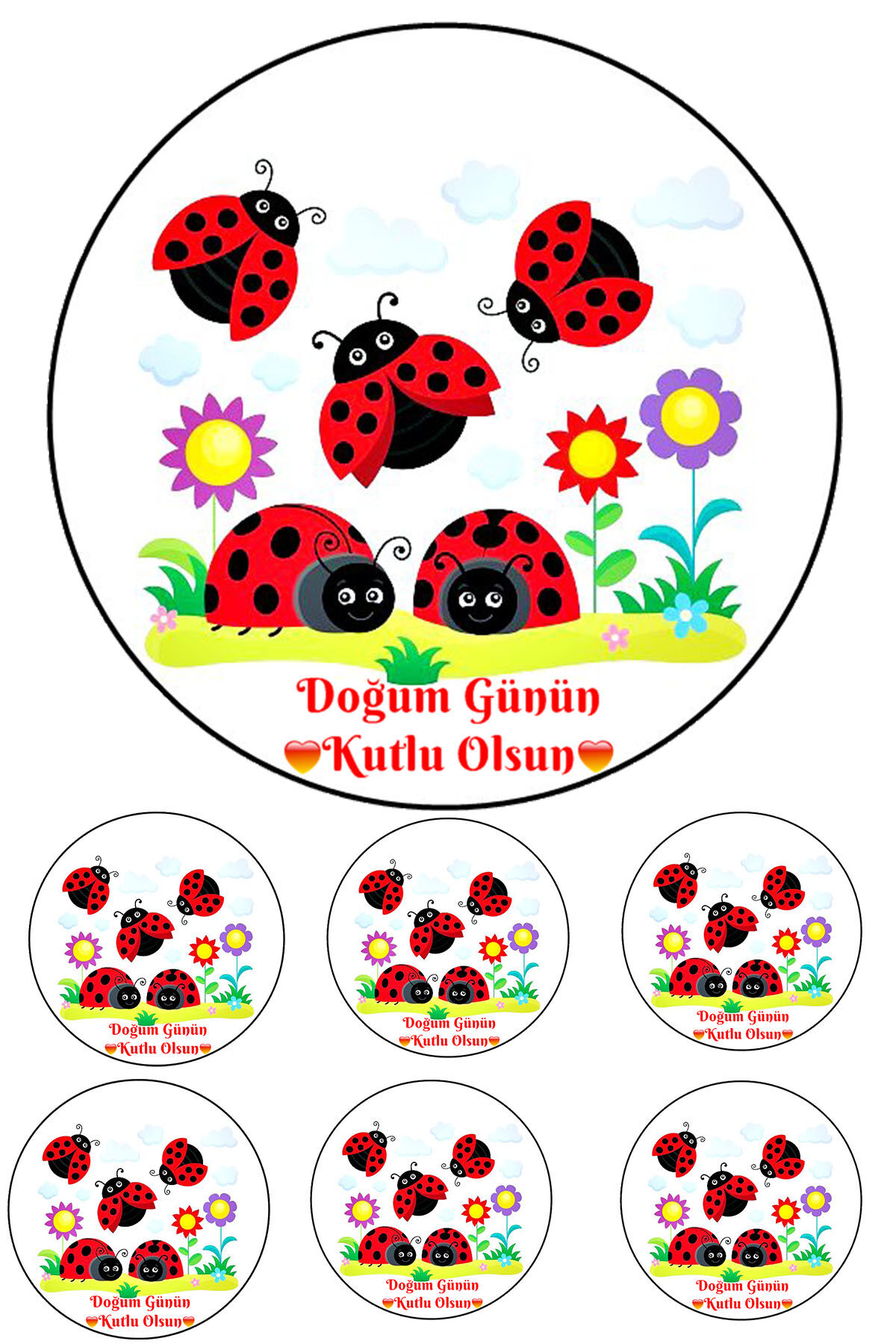Yenilebilir Pasta Resmi Uğur Böceği Modeli 6-8-10 Kişilik Pastaya Uygun 16 cm Ebat